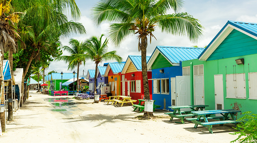 Image of palm trees and beach huts