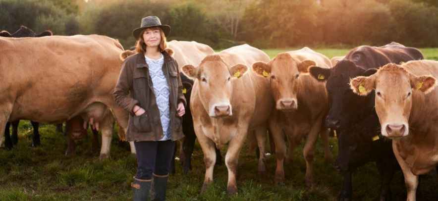 Farmer with a herd of cows
