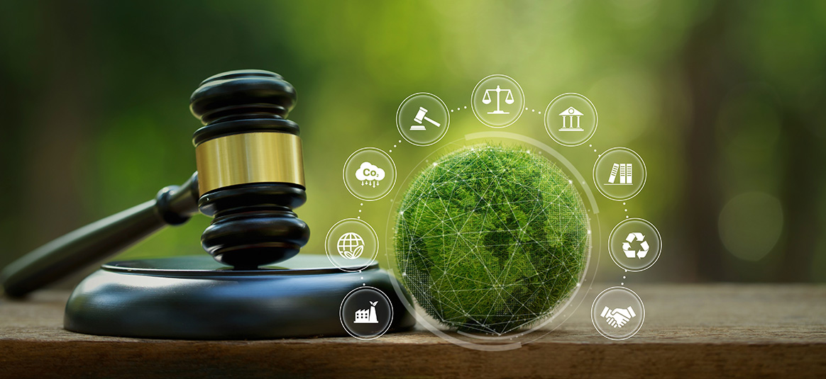 wooden hammer on gavel 