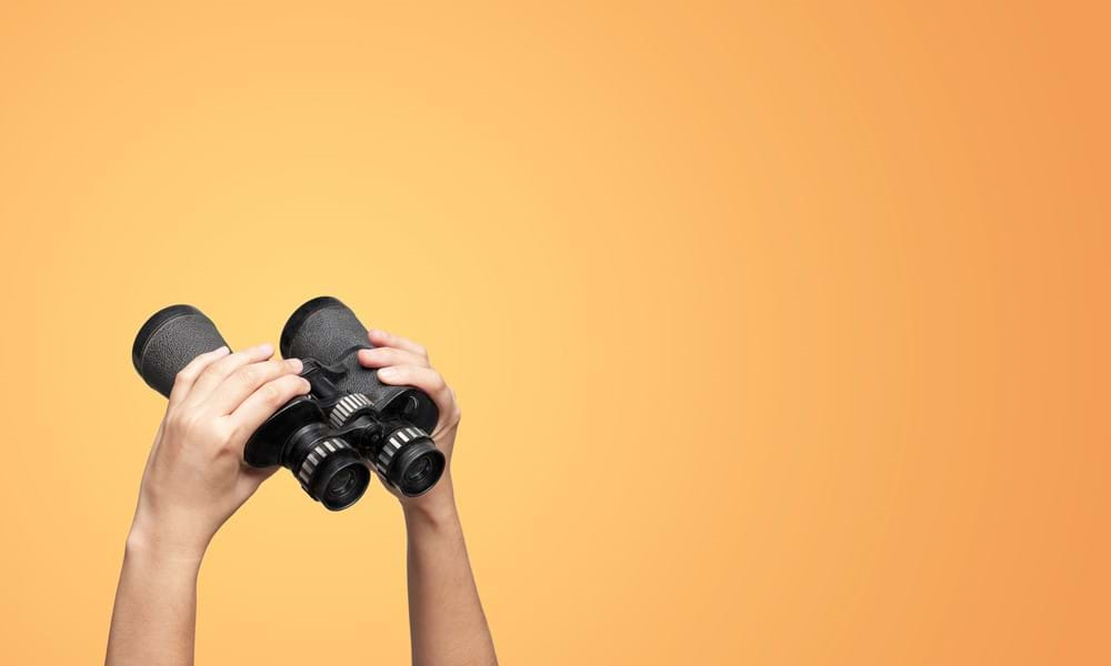 A person holding a pair of binoculars up in the air.