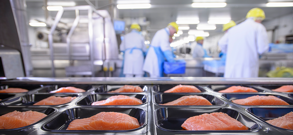 Photo of a grid of salmon slices in a food preparation room.