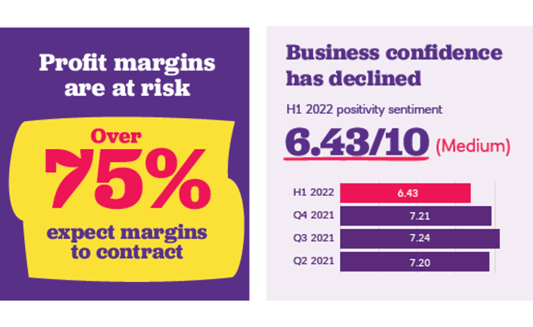 Infographic about profit margins and business confidence in the last year up to H1 2022