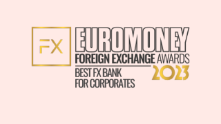 Read about NatWest's Best FX Bank for Corporates’ in the Euromoney Foreign Exchange Awards 2023.