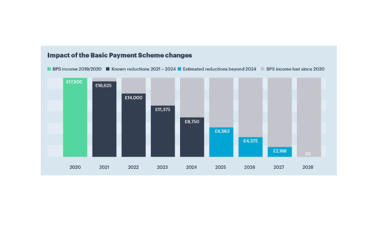 graph showing impact of basic payment scheme changes
