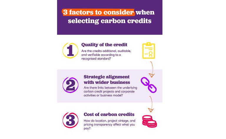 Three factors to consider when selecting carbon credits