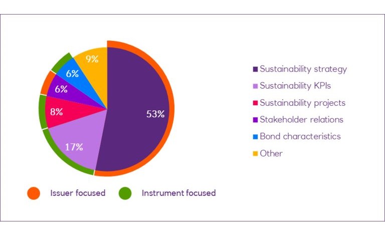 Pie chart showing percentage split of issuer focused and instrument focused questions on different topics.
