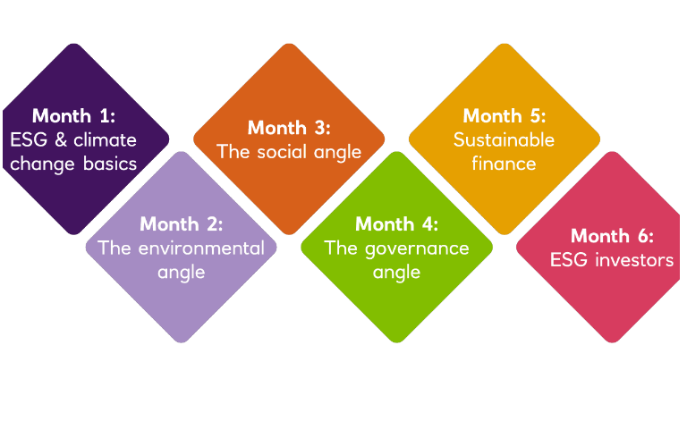 6 month progression of ESG's