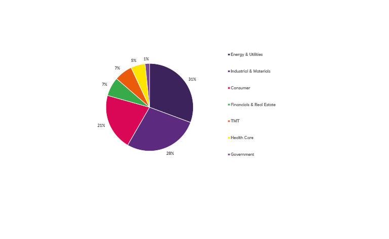 Pie chart of issuers showing split by sector.
