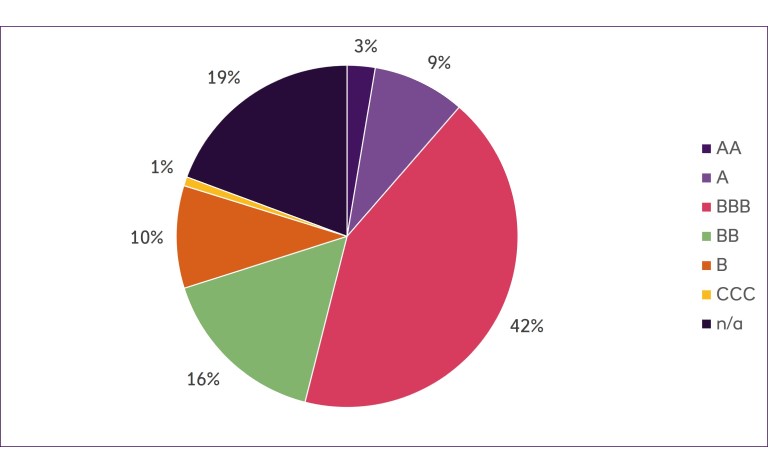Issuers split by rating pie chart