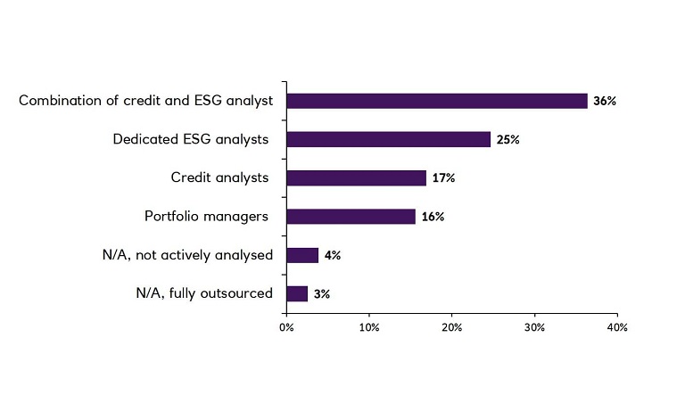 Who in your organisation is primarily responsible for ESG analysis?
