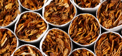 Tobacco in the spotlight