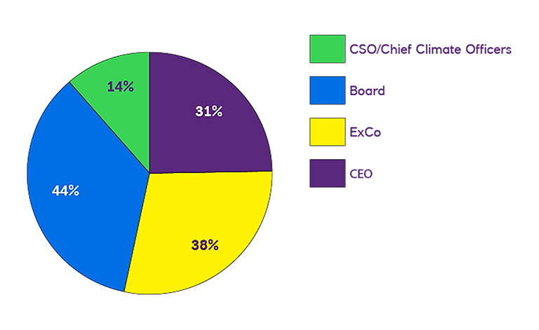 Pie chart showing the percentages of CDO 14% , Board 44%, ExCo 38% and CEO 31%