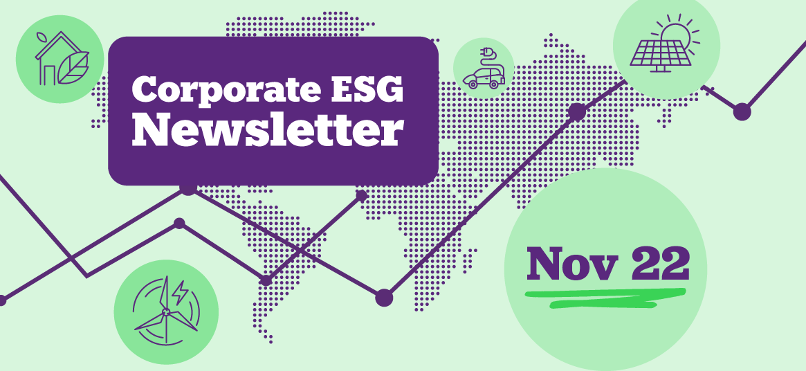 Corporate ESG Newsletter Nov 22.