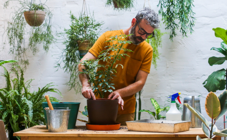 Photo of a man potting a plant at a table