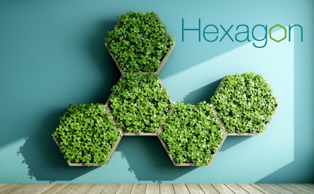 Read the Hexagon case study