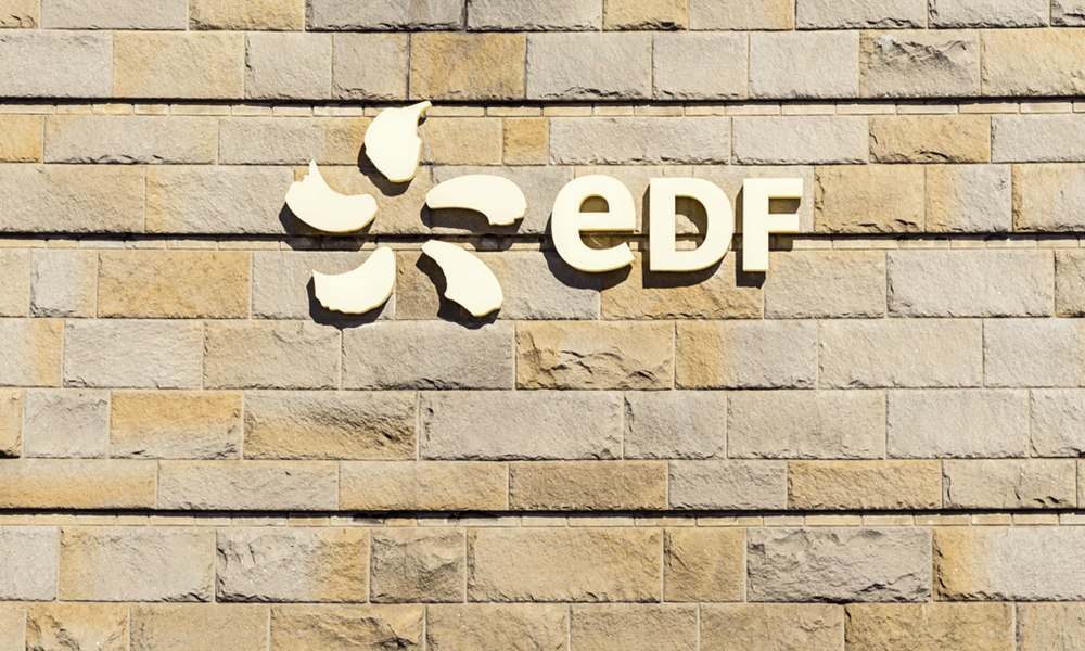 Photo of the EDF logo on a stone block wall
