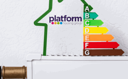 Platform housing group logo