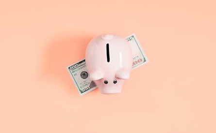 Photo if a piggy bank atop a bank note on a pink background