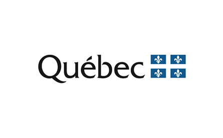 The fleurdelisé - the flag motif of the Canadian province of Québec.