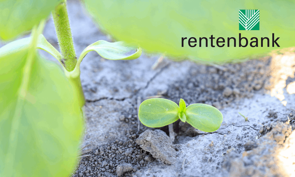 Read the Rentenbank client story