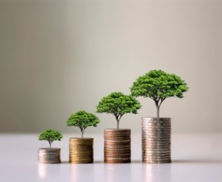 Photo of small trees growing from the tops of coin stacks.