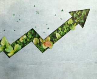 Up and down graph arrow trending upward, filled with healthy green leaves.