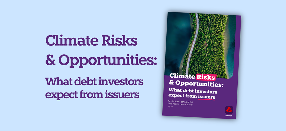 Climate Risks and Opportunities: What debt investors expect from issuers