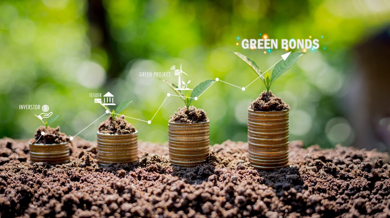 Image of coins stacked on the ground with green shoots growing out the top of them, a graphic showing arrow with points above the coins  includes text showing investor to issuer to green project to green bonds.