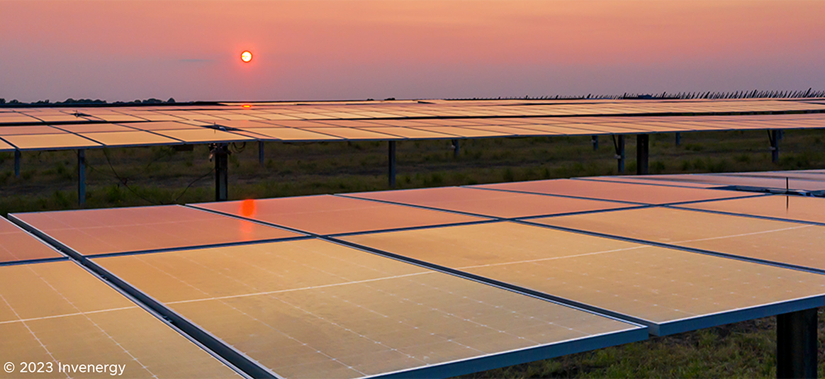Solar panels in a field 