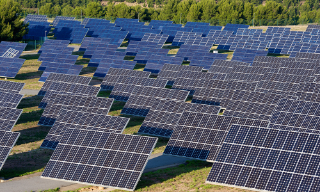 Solar panels tilt skyward, generating sustainable energy.