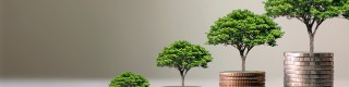 Photo of miniature trees atop stacks of coins