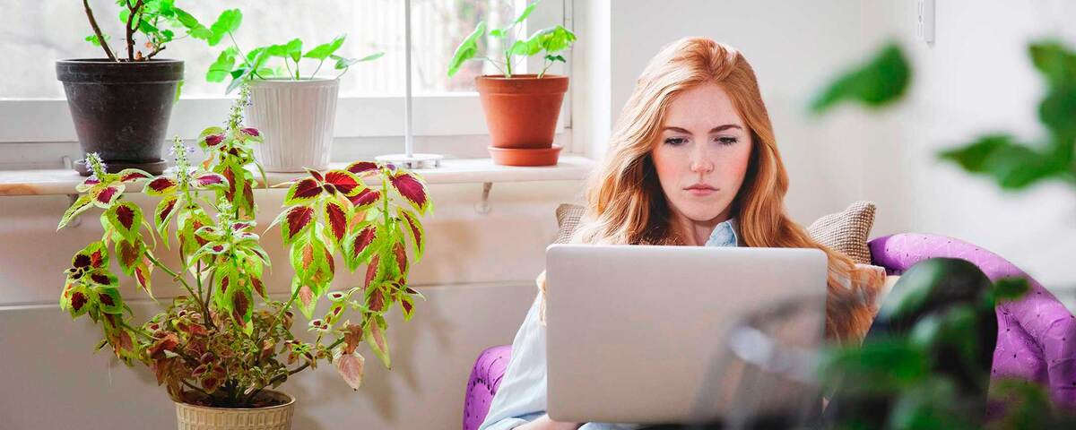 Woman sitting on a sofa using her laptop