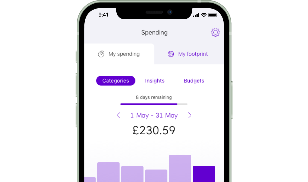 Mobile app screenshot showing spending categories feature
