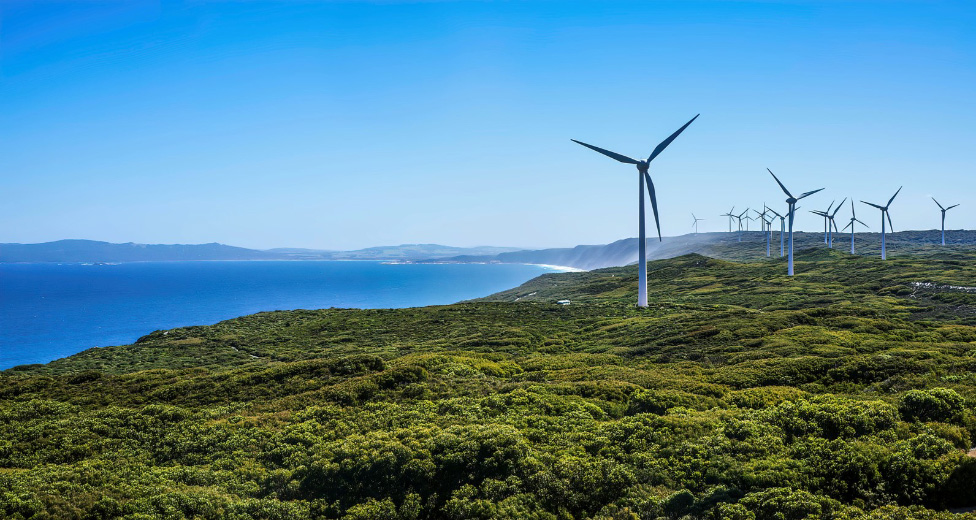 Photo of green coastal clifs lined with wind turbines